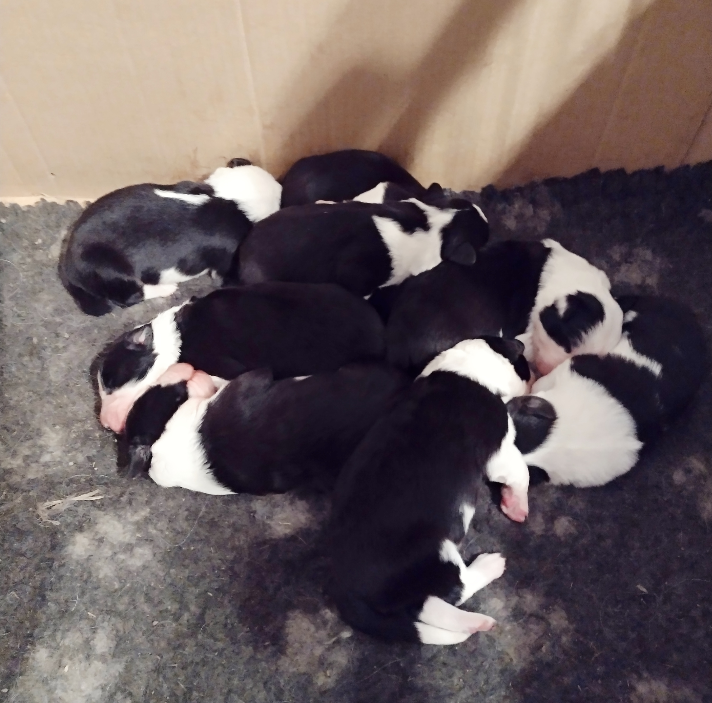 IMG_20251209_093534675