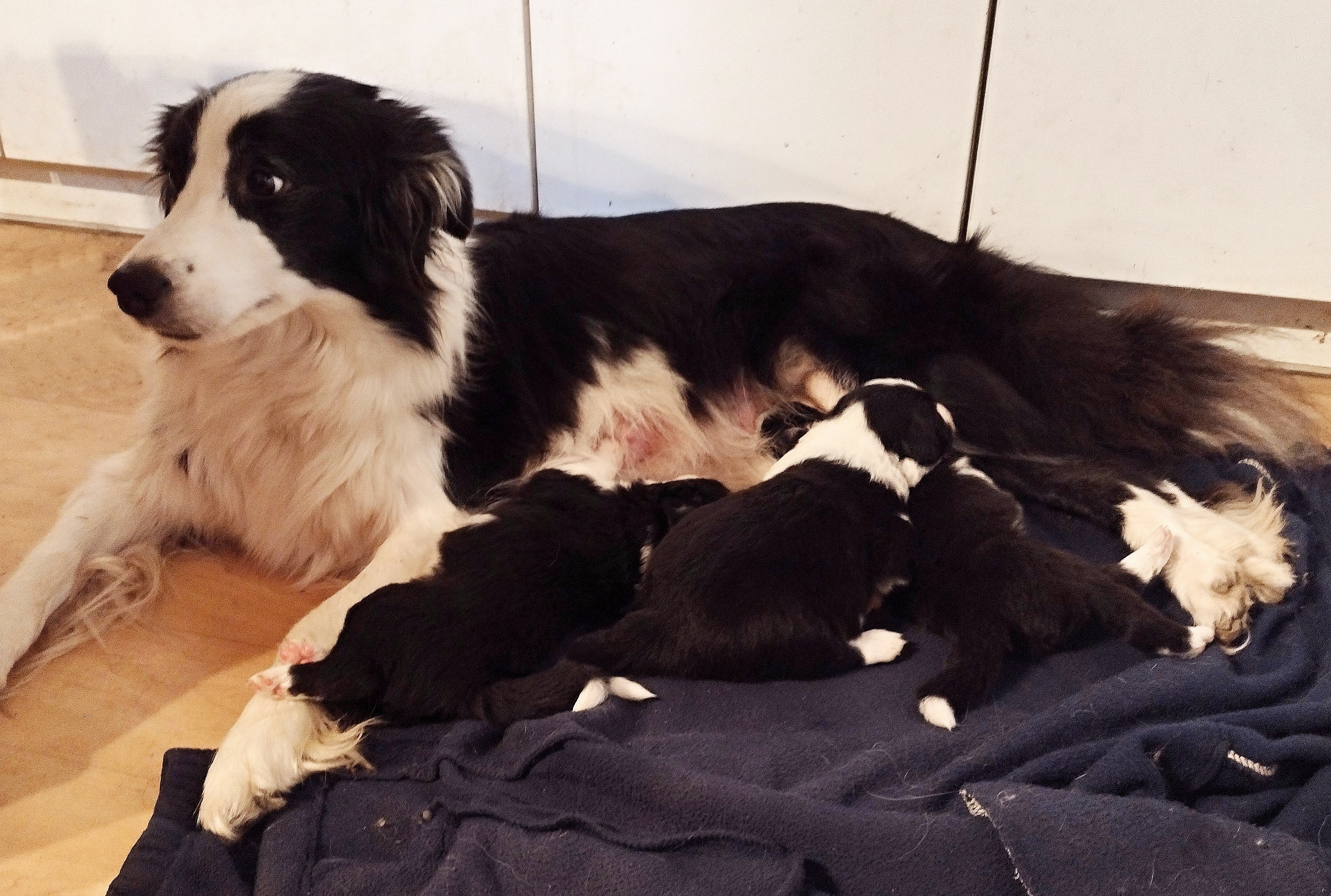 IMG_20251221_122623385_HDR