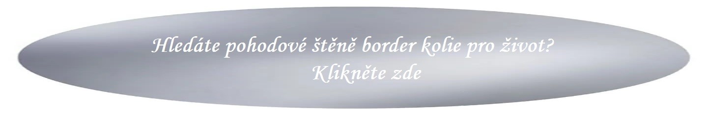 tlacitko.jpg