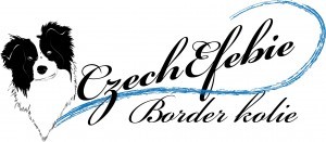 kennel-logo.jpg