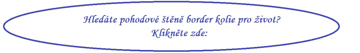 stene-border-kolie.jpg