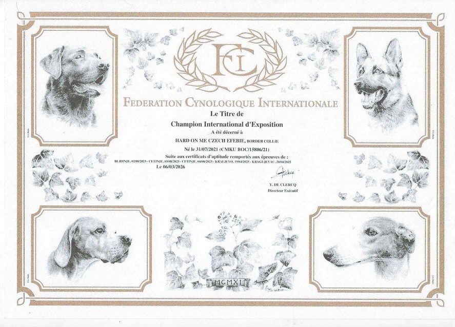 hery-interchampion-web.jpg