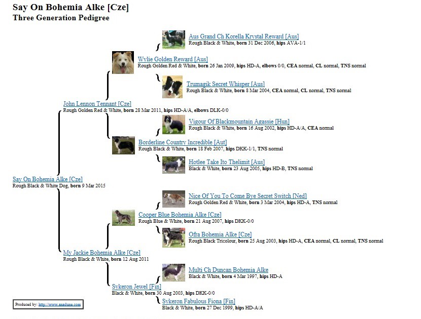 say-on-pedigree.jpg