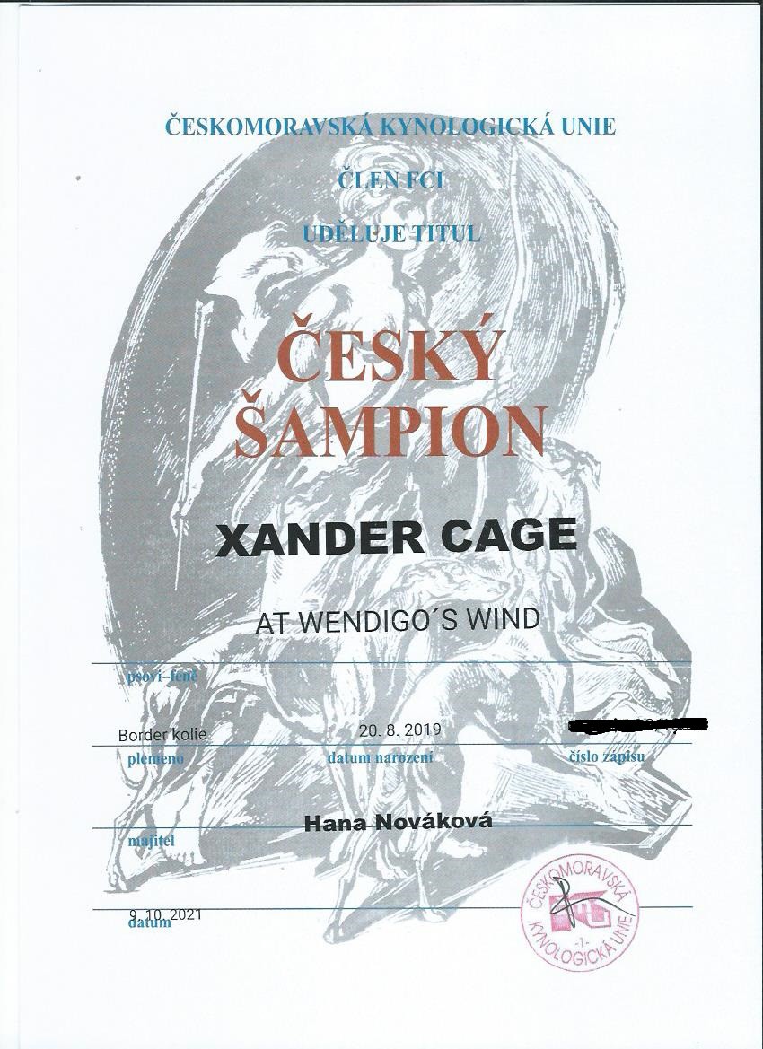 cz-ch-xander1.jpg