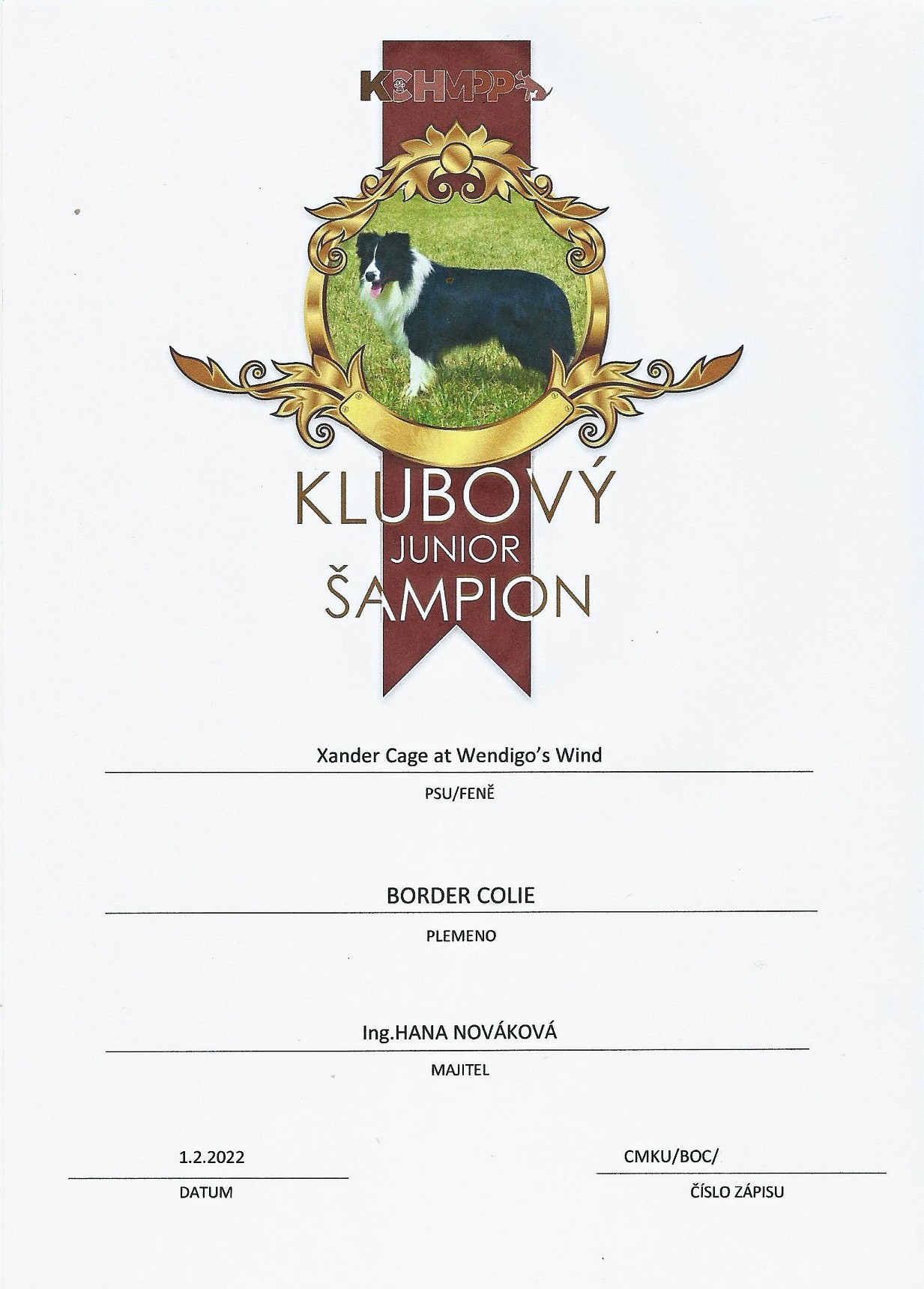 xaro-junior-sampion-kchmpp.jpg