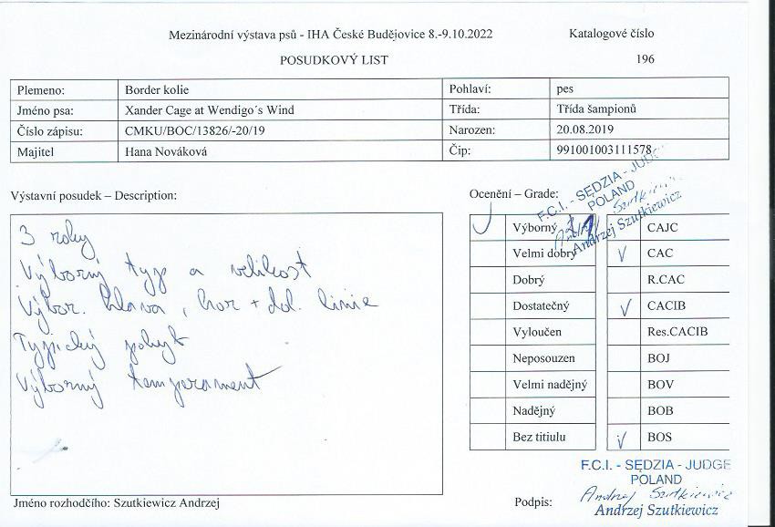 xander-c.budejovice---v1-cac--cacib--bos.jpg