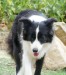 Jessie2